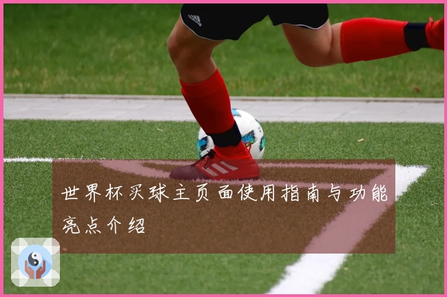 世界杯买球主页面使用指南与功能亮点介绍