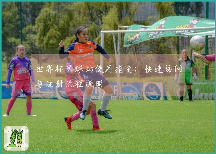 世界杯买球站使用指南：快速访问与注册流程说明
