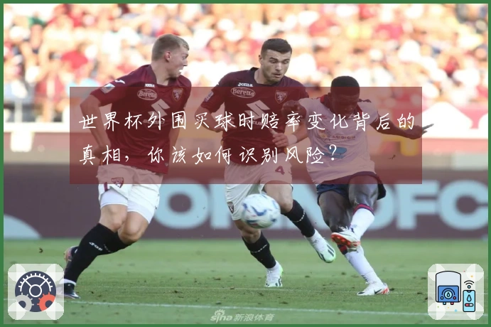 世界杯外围买球时赔率变化背后的真相，你该如何识别风险？