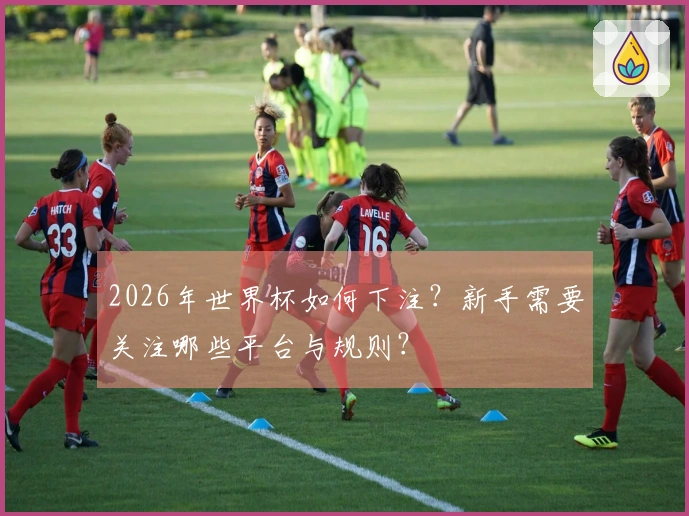 2026年世界杯如何下注？新手需要关注哪些平台与规则？