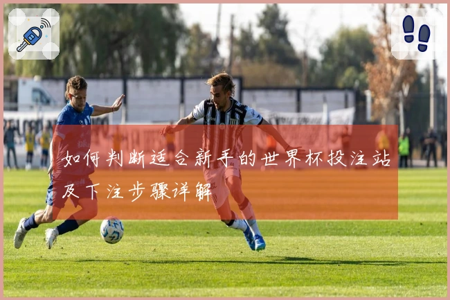 如何判断适合新手的世界杯投注站及下注步骤详解