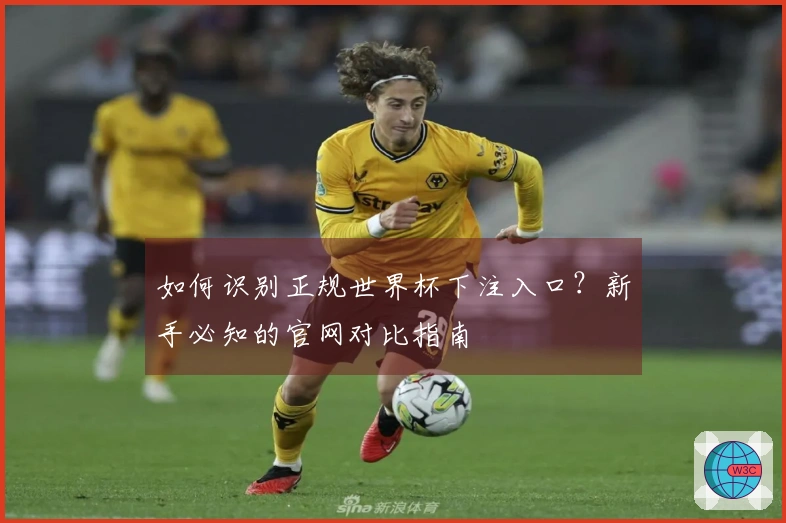 如何识别正规世界杯下注入口?新手必知的官网对比指南