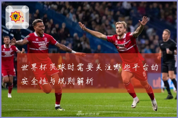 世界杯买球时需要关注哪些平台的安全性与规则解析
