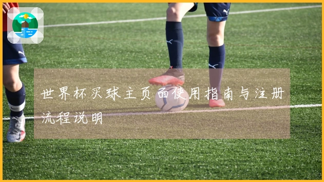 世界杯买球主页面使用指南与注册流程说明