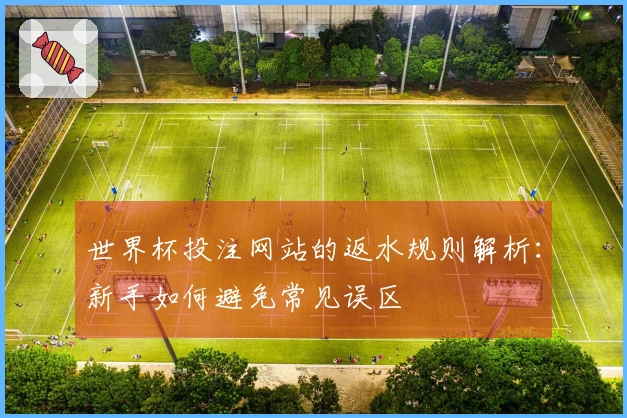 世界杯投注网站的返水规则解析:新手如何避免常见误区