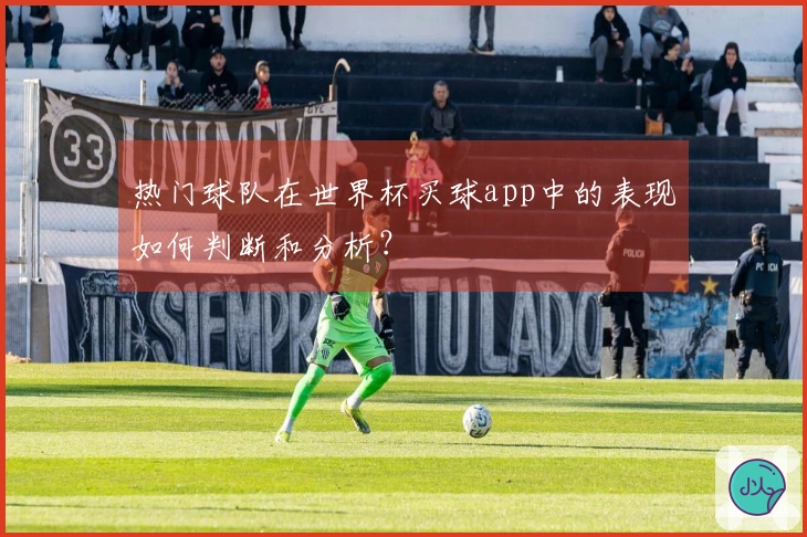 热门球队在世界杯买球app中的表现如何判断和分析？