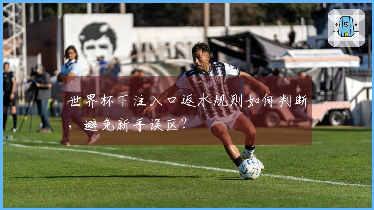 世界杯下注入口返水规则如何判断，避免新手误区？