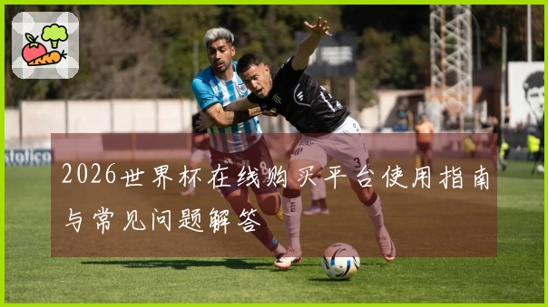 2026世界杯在线购买平台使用指南与常见问题解答