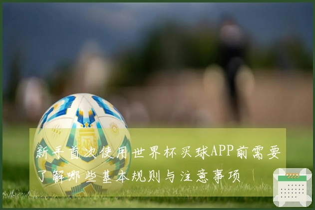 新手首次使用世界杯买球APP前需要了解哪些基本规则与注意事项
