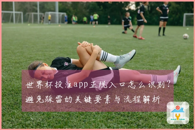 世界杯投注app正规入口怎么识别？避免踩雷的关键要素与流程解析