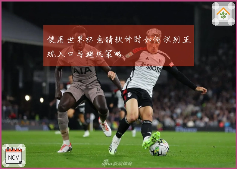 使用世界杯竞猜软件时如何识别正规入口与避坑策略