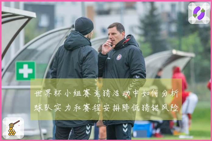 世界杯小组赛竞猜活动中如何分析球队实力和赛程安排降低猜错风险