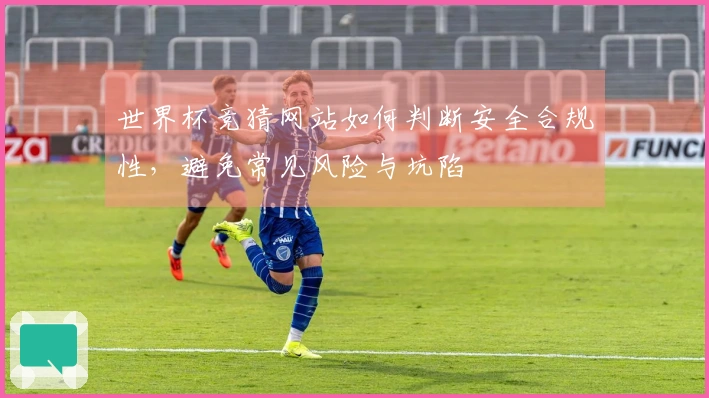 世界杯竞猜网站如何判断安全合规性,避免常见风险与坑陷