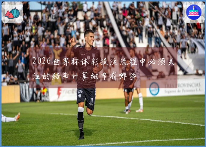 2026世界杯体彩投注流程中必须关注的赔率计算细节有哪些
