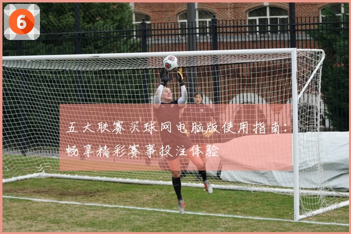 五大联赛买球网电脑版使用指南：畅享精彩赛事投注体验
