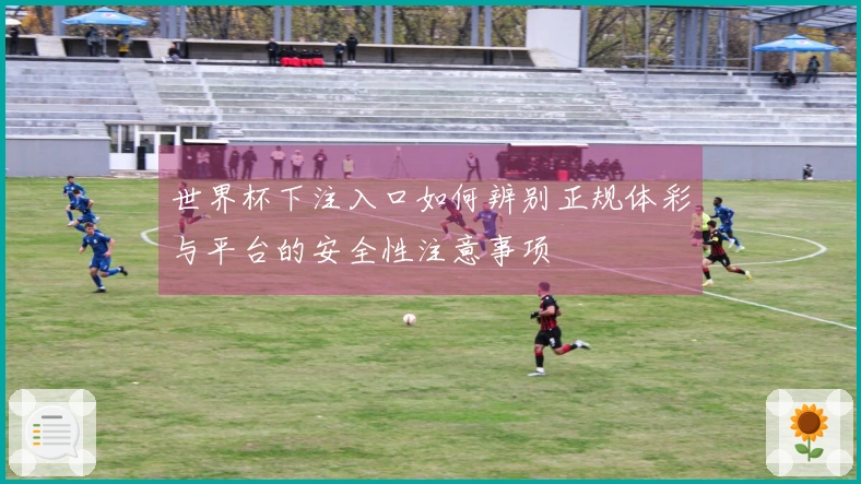 世界杯下注入口如何辨别正规体彩与平台的安全性注意事项